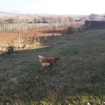 Farmház La Poderina Bagno Vignoni