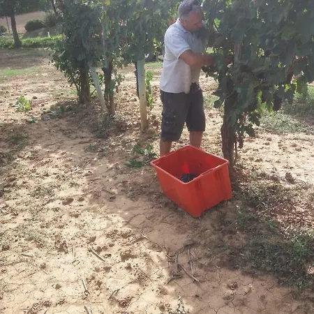 La Poderina * 바뇨비뇨니