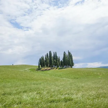 La Poderina 바뇨비뇨니