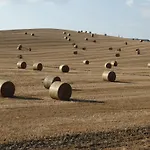 La Poderina