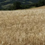 La Poderina * Bagno Vignoni