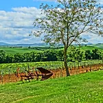 Agroturismo La Poderina *