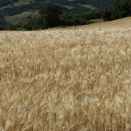 La Poderina * Bagno Vignoni