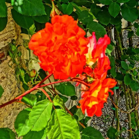 La Poderina Vakantieboerderij *