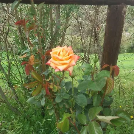 Farmház La Poderina