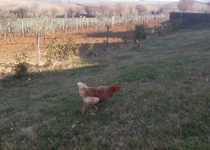 ファームステイ La Poderina バーニョ・ヴィニョーニ