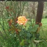 Farma La Poderina